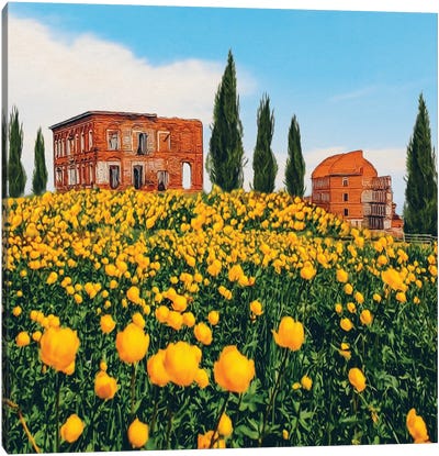 A Meadow Of Yellow Flowers Against A Backdrop Of Old Dilapidated Houses In Italy Canvas Art Print - Cypress Tree Art