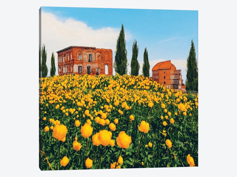 A Meadow Of Yellow Flowers Against A Backdrop Of Old Dilapidated Houses In Italy by Ievgeniia Bidiuk 1-piece Canvas Art