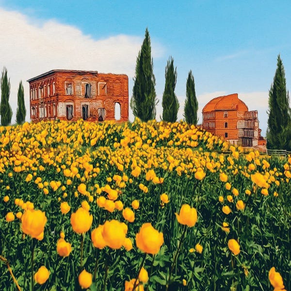 Ievgeniia Bidiuk: A Meadow Of Yellow Flowers Against A Backdrop Of Old Dilapidated Houses In Italy by Ievgeniia Bidiuk