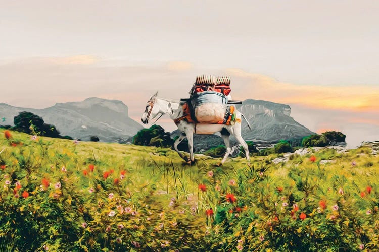 A Donkey Walking With A Load On A Mountain Trail by Ievgeniia Bidiuk wall art