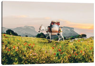 A Donkey Walking With A Load On A Mountain Trail Canvas Art Print - Donkey Art