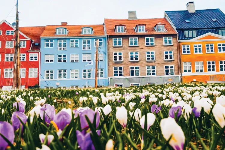 Blooming Crocuses Against The Backdrop Of The Old City