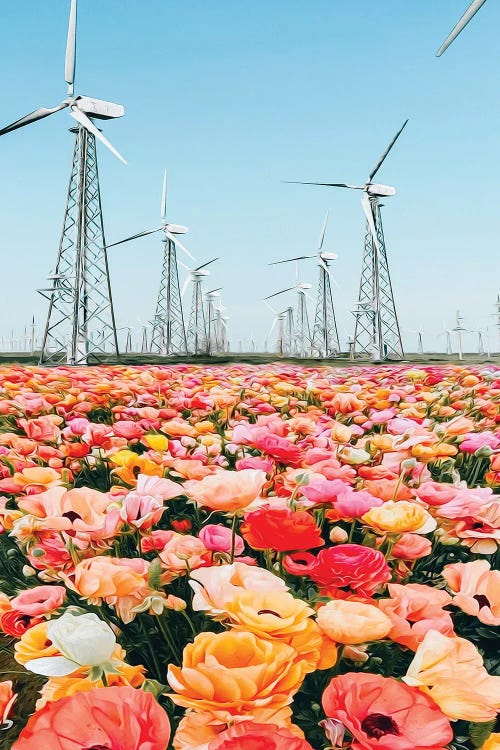 Blooming Ranunculi In Front Of A Wind Farm