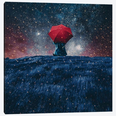 A Man With An Umbrella Sits On The Edge Of A Cliff On A Starry Night Canvas Print #IVG508} by Ievgeniia Bidiuk Canvas Print