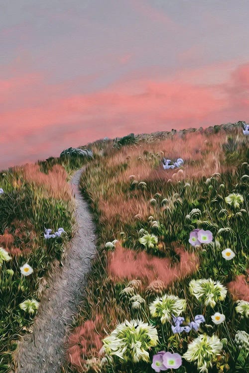 Pink Clouds In The Grass In The Mountain Meadow