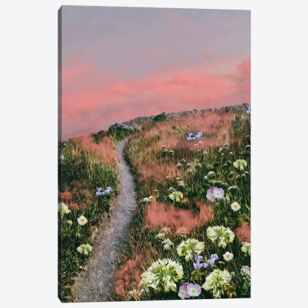 Pink Clouds In The Grass In The Mountain Meadow Canvas Print #IVG509} by Ievgeniia Bidiuk Art Print
