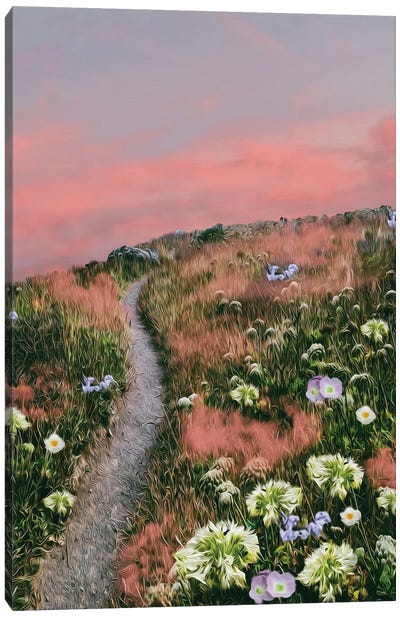 Pink Clouds In The Grass In The Mountain Meadow Canvas Art Print - Take a Hike
