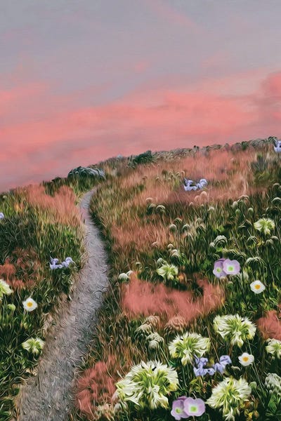 Ievgeniia Bidiuk: Pink Clouds In The Grass In The Mountain Meadow by Ievgeniia Bidiuk