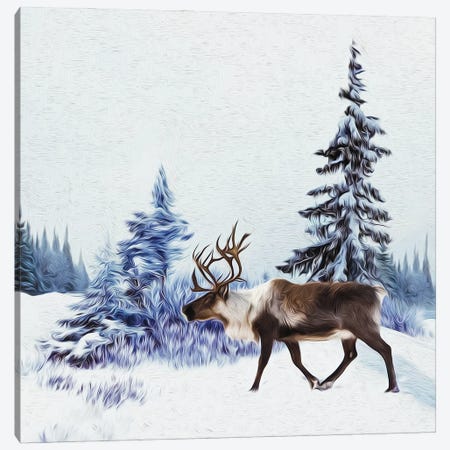 Lapland Landscape Canvas Print #IVG50} by Ievgeniia Bidiuk Canvas Art Print
