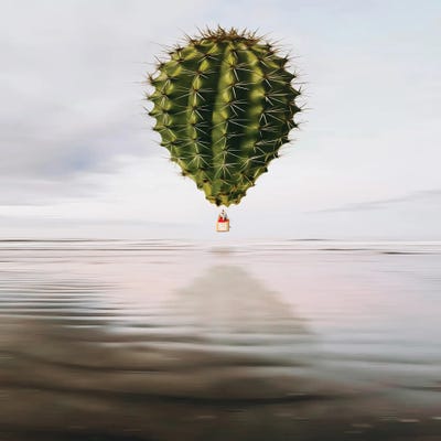 A Cactus-Shaped Balloon Flying Over The Sea by Ievgeniia Bidiuk framed wall art