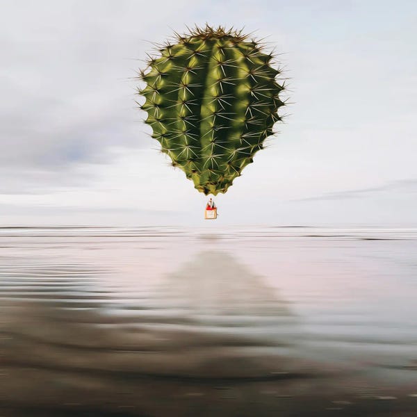 Ievgeniia Bidiuk: A Cactus-Shaped Balloon Flying Over The Sea by Ievgeniia Bidiuk