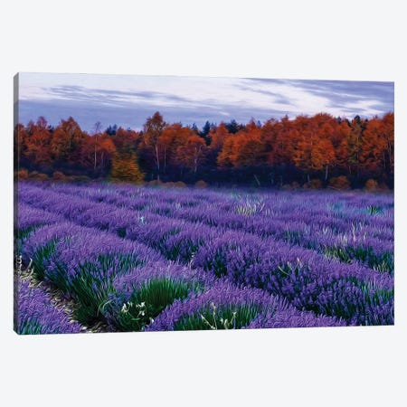 A Lavender Field By The Woods Canvas Print #IVG516} by Ievgeniia Bidiuk Art Print