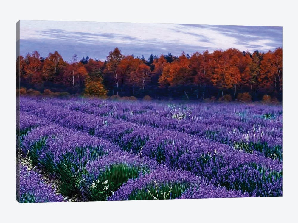 A Lavender Field By The Woods by Ievgeniia Bidiuk 1-piece Art Print