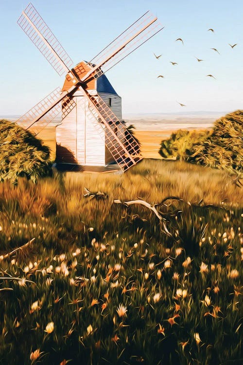 A Mill In A Flowering Meadow