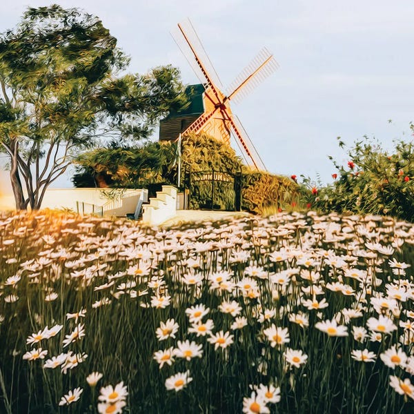 Ievgeniia Bidiuk: A Mill In A Chamomile Field by Ievgeniia Bidiuk