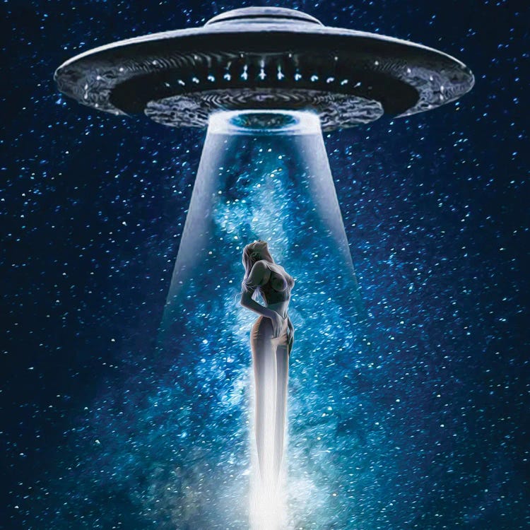 A Girl And A UFO by Ievgeniia Bidiuk wall art