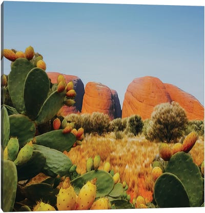 Landscape From The Valley Of Cacti Canvas Art Print - Ievgeniia Bidiuk