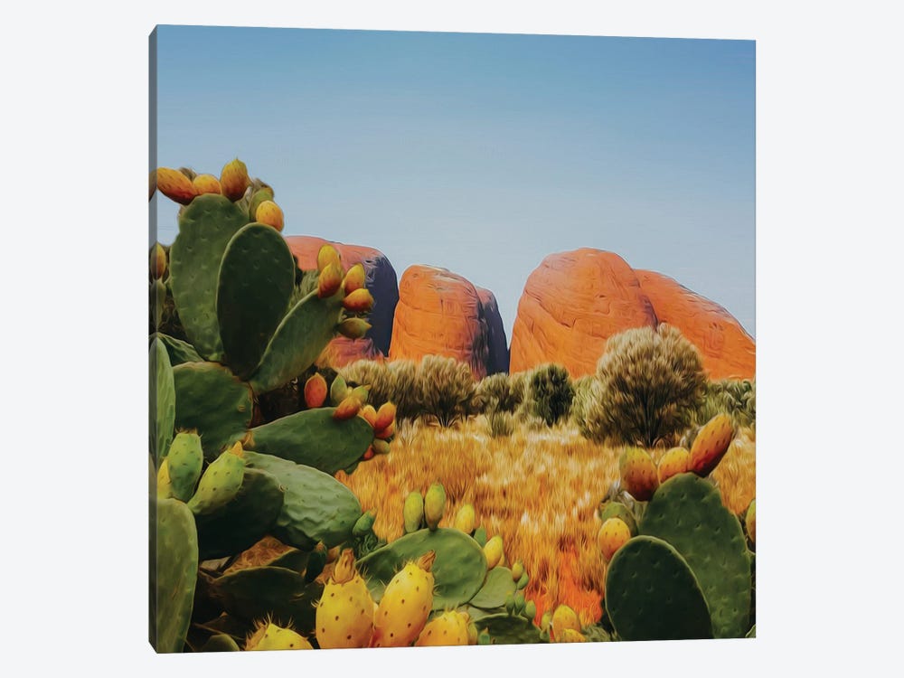 Landscape From The Valley Of Cacti 1-piece Canvas Art