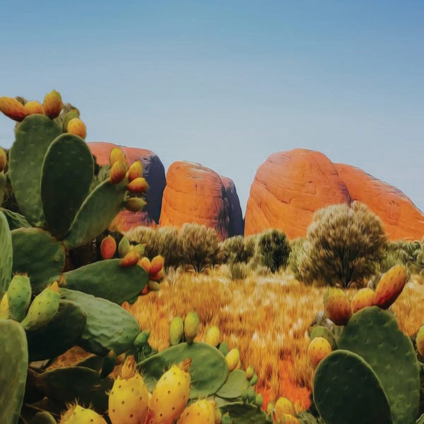 Ievgeniia Bidiuk: Landscape From The Valley Of Cacti by Ievgeniia Bidiuk