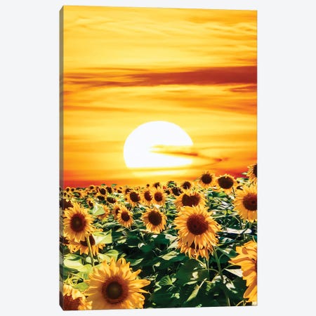 A Field Of Sunflowers At Sunset Canvas Print #IVG522} by Ievgeniia Bidiuk Art Print