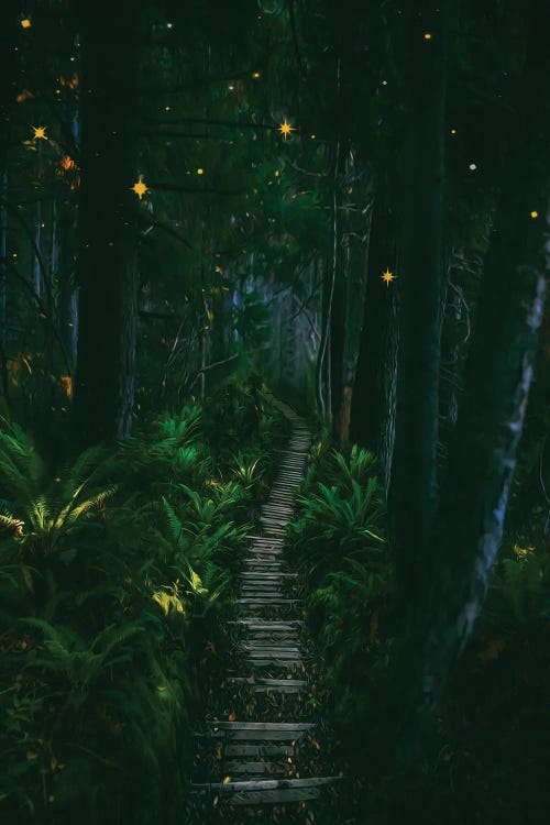 Stars In The Rainforest