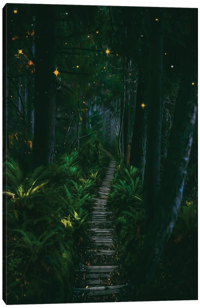 Stars In The Rainforest Canvas Art Print - Jungles