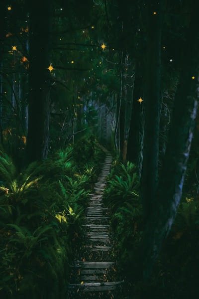 Jungles: Stars In The Rainforest by Ievgeniia Bidiuk