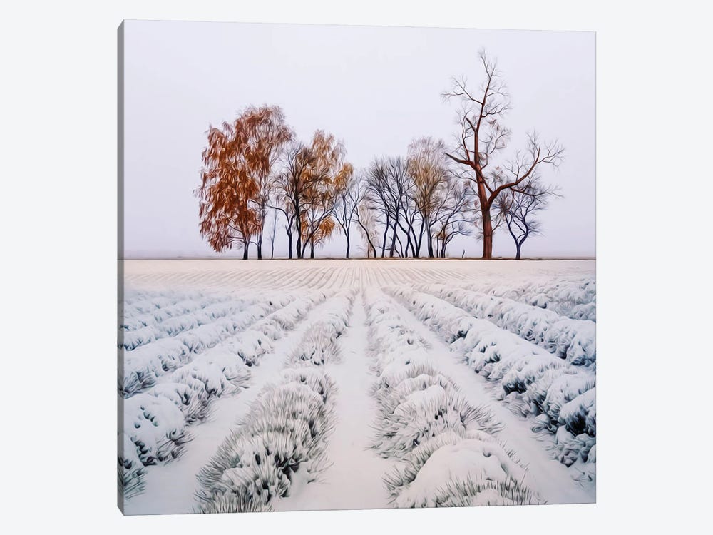 Lavender Field In The Snow by Ievgeniia Bidiuk 1-piece Canvas Artwork