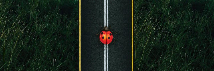 A Ladybird On The Motorway Close-Up by Ievgeniia Bidiuk wall art