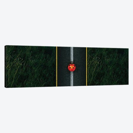 A Ladybird On The Motorway Close-Up Canvas Print #IVG525} by Ievgeniia Bidiuk Canvas Wall Art