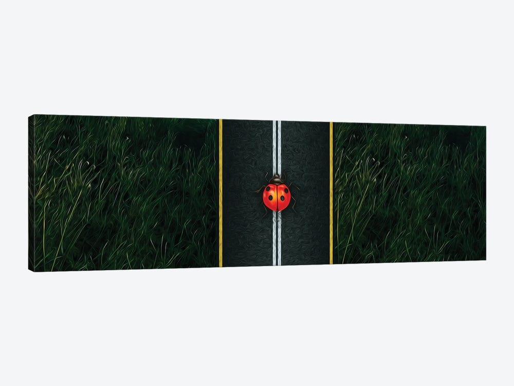A Ladybird On The Motorway Close-Up by Ievgeniia Bidiuk 1-piece Art Print
