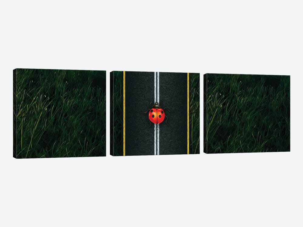 A Ladybird On The Motorway Close-Up by Ievgeniia Bidiuk 3-piece Art Print