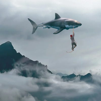 Man And Shark by Ievgeniia Bidiuk canvas print