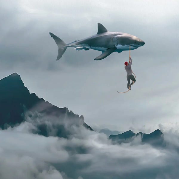 Ievgeniia Bidiuk: Man And Shark by Ievgeniia Bidiuk