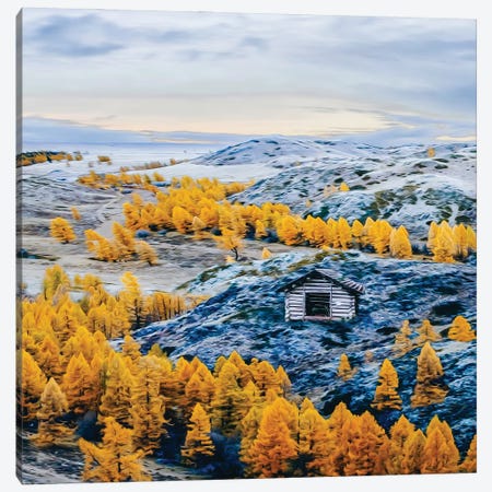 Autumn Forest On Snow-Covered Mountainsides Canvas Print #IVG531} by Ievgeniia Bidiuk Canvas Wall Art