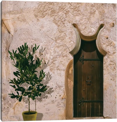 Antique Wooden Doors In A Stone House Canvas Art Print - Olive Tree Art