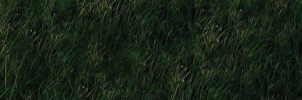 Grasses: Green Grass by Ievgeniia Bidiuk