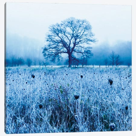A Winter Morning In The Meadow Canvas Print #IVG543} by Ievgeniia Bidiuk Art Print