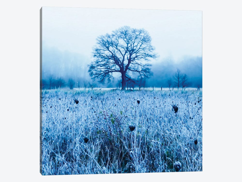 A Winter Morning In The Meadow by Ievgeniia Bidiuk 1-piece Art Print