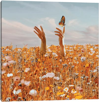 A Butterfly On The Arm Canvas Art Print - Monarch Metamorphosis