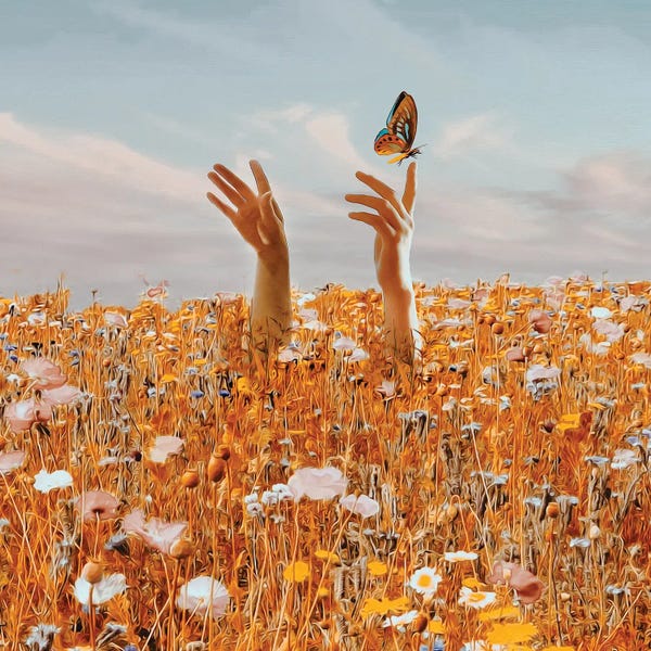 Wide Open Spaces: A Butterfly On The Arm by Ievgeniia Bidiuk
