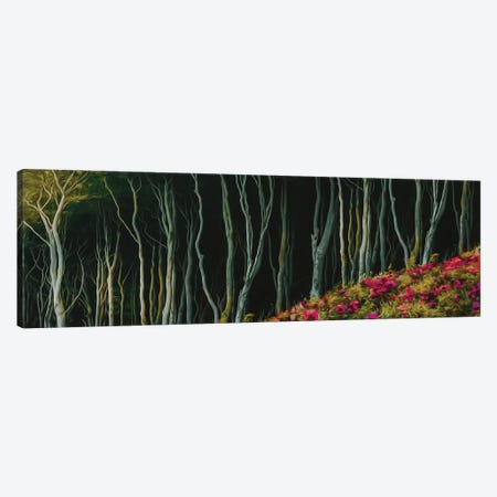 A Flower Meadow At The Edge Of The Forest Canvas Print #IVG546} by Ievgeniia Bidiuk Canvas Wall Art