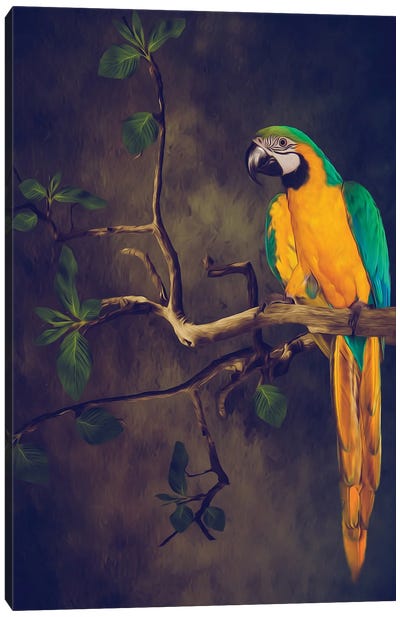 Blue And Yellow Macaw Canvas Art Print - Macaw Art
