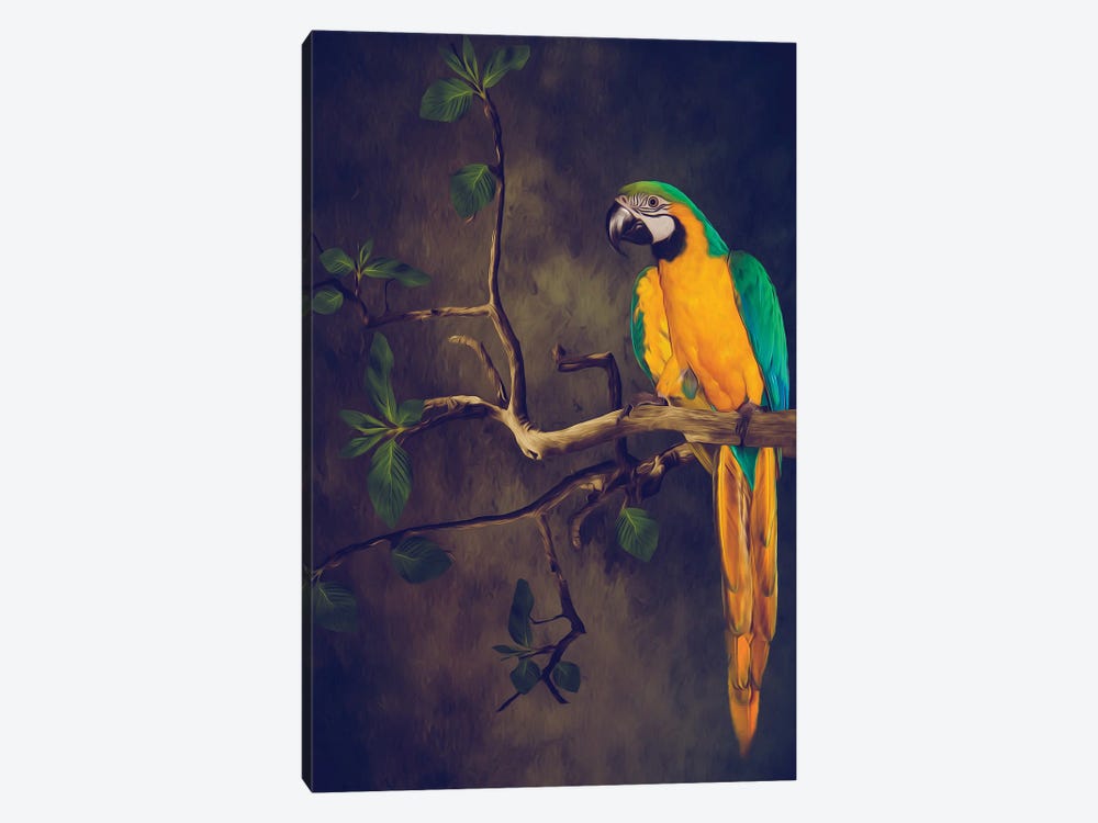 Blue And Yellow Macaw by Ievgeniia Bidiuk 1-piece Art Print