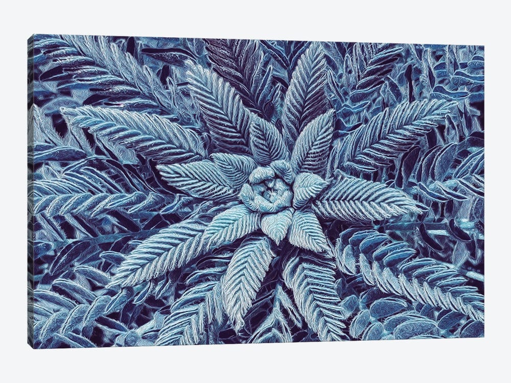 Frosty Plant by Ievgeniia Bidiuk 1-piece Canvas Art Print