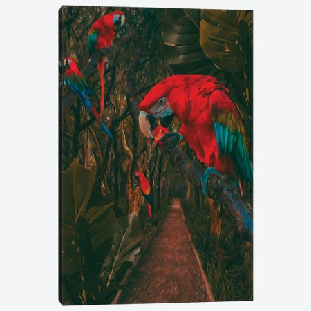 A Path In The Rainforest With Parrots Canvas Print #IVG551} by Ievgeniia Bidiuk Canvas Wall Art
