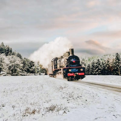A Steam Locomotive In A Winter Forest by Ievgeniia Bidiuk framed wall art