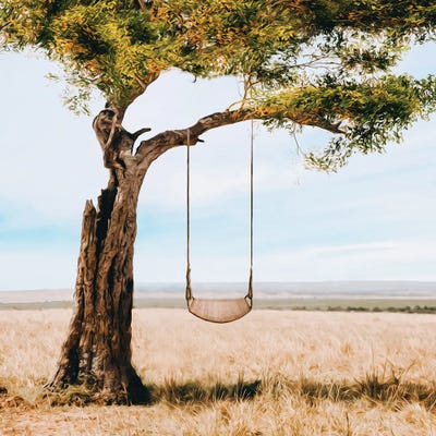 A Tree With A Swing In The Steppe by Ievgeniia Bidiuk framed wall art