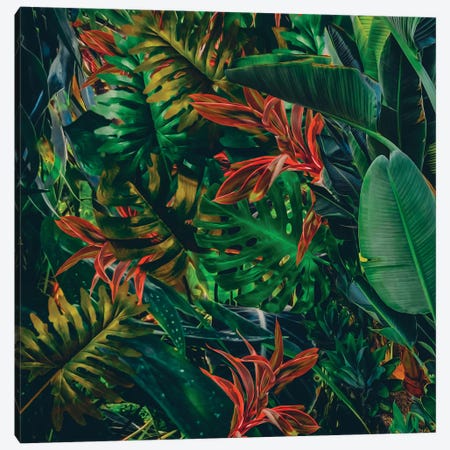 Tropical Leaf Assortment Canvas Print #IVG559} by Ievgeniia Bidiuk Canvas Wall Art
