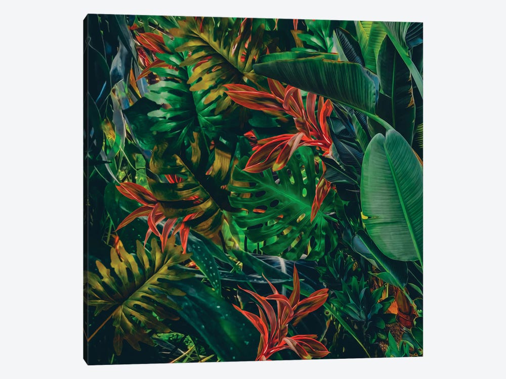 Tropical Leaf Assortment by Ievgeniia Bidiuk 1-piece Canvas Art